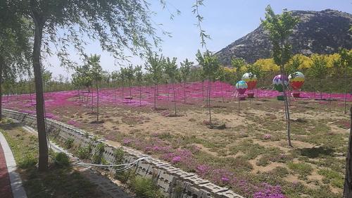 一次小里程骑行!汶南～新泰～莲花山～翟镇