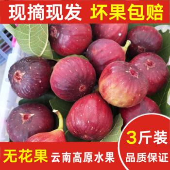 新鲜云南红皮无花果大果新鲜无花果3斤