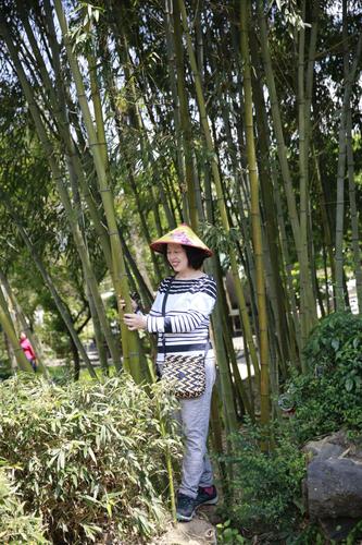 向云川——游览腾冲火山地质公园和北海湿地