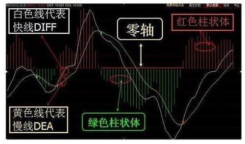 一旦股票macd出现金叉信号,毫不犹豫的买入