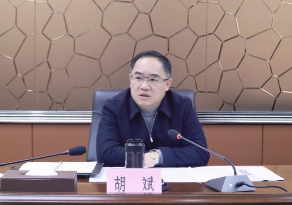 胡斌出席春节期间重大项目不停工重点企业不停产工作调度会
