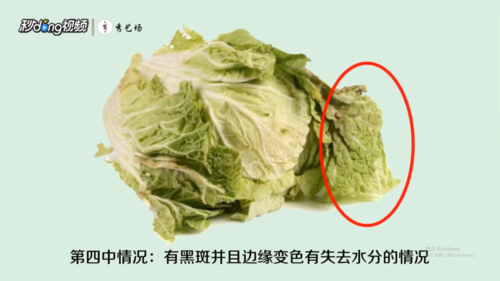 大白菜上有黑点能吃吗?
