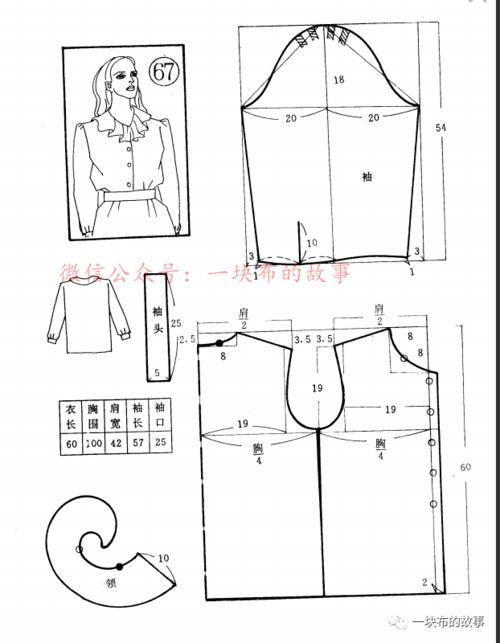 多款女士衬衫裁剪图