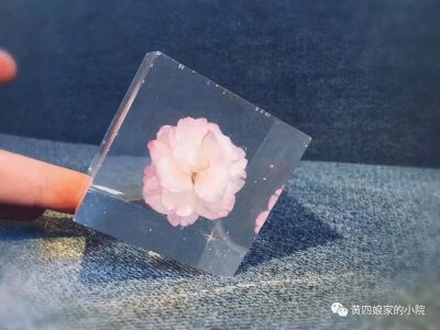 镇纸 滴胶