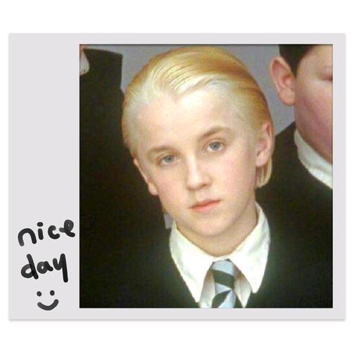 德拉科·马尔福头像~少爷好帅