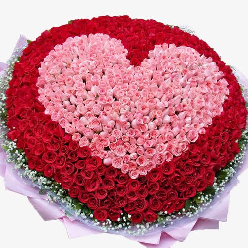 999朵玫瑰图片素材