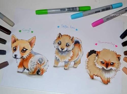 超简单动物简笔画马克笔