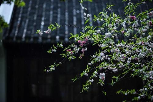 五首春深:何处春深好,城春草木深