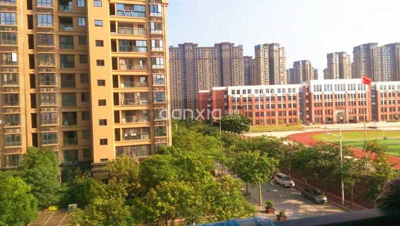 紫金家园1居电梯_厦门湖里区五缘湾紫金家园 租房(厦门丹厦网)