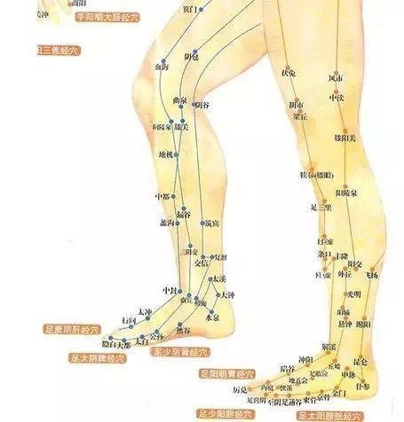 灸通小腿一辈子不得癌症灸一次小腿通6条经脉
