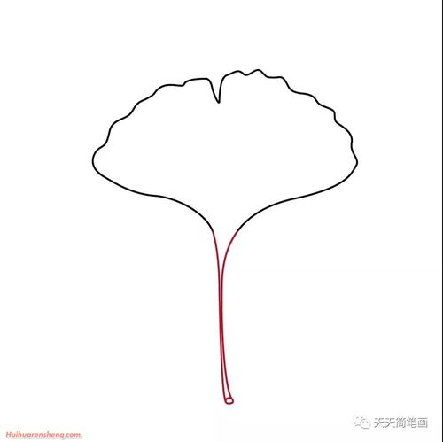 枫叶简笔画步骤银杏叶子简笔画作品彩色图片
