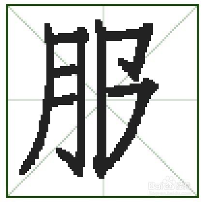 服的笔顺及易错点.