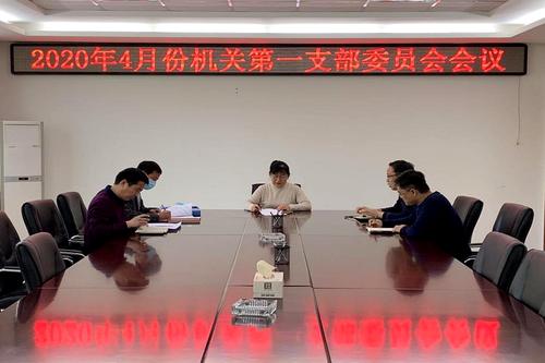 濮阳市审计局机关第一党支部召开4月份支部委员会会议
