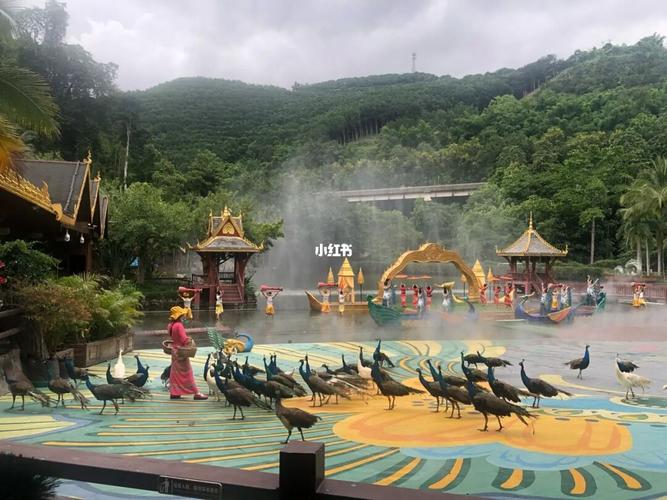 西双版纳森林公园_plog_景点_西双版纳_森林_西双版纳