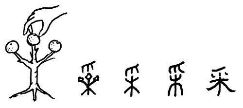 其它 【立信远实·每日一字】采 写美篇 【每日一字——采】甲骨文,上