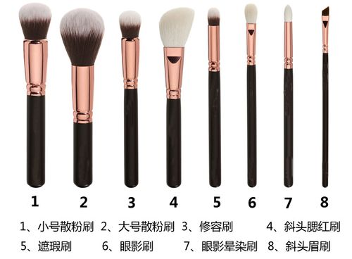 z 八支化妆刷套刷 粉底刷 化妆工具 便携款 厂家直销