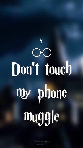 lotta 3分钟前      don't touch my phone muggle.