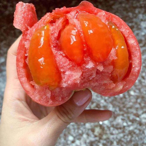 购客老品种沙瓤西红柿4斤免邮山栗爸爸自然熟番茄易购客