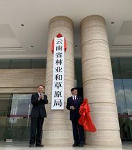 办公厅关于印发〈云南省机构改革方案〉的通知》,《中共云南省委贯彻