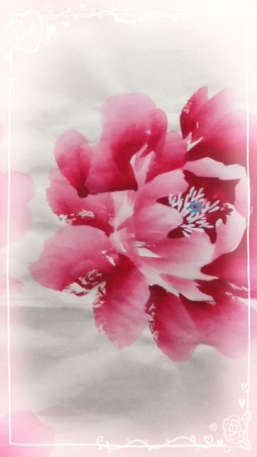 学习第三种牡丹花头的画法.3.学习牡丹花蕊花丝花药的画法.
