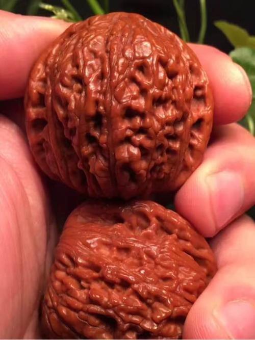 绣球狮子头核桃盘好图