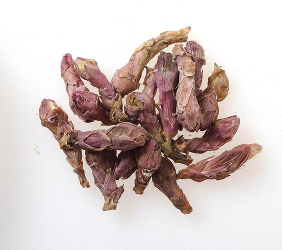 郑卢医学中药临床应用