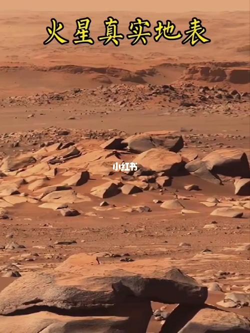 火星真实地表_火星_社科_科学科普