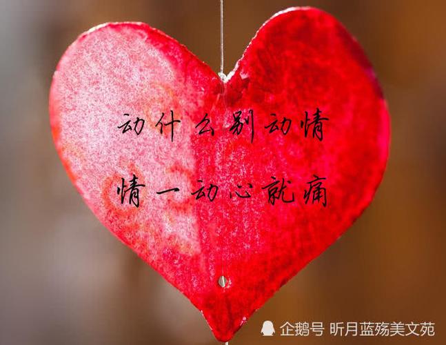 动什么别动情,情一动心就痛