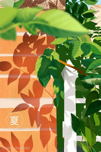夏天立夏手绘插画