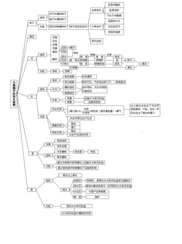 中考生物专题复习案之生物圈中的绿色植物