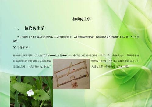 植物仿生学实例绪论.docx