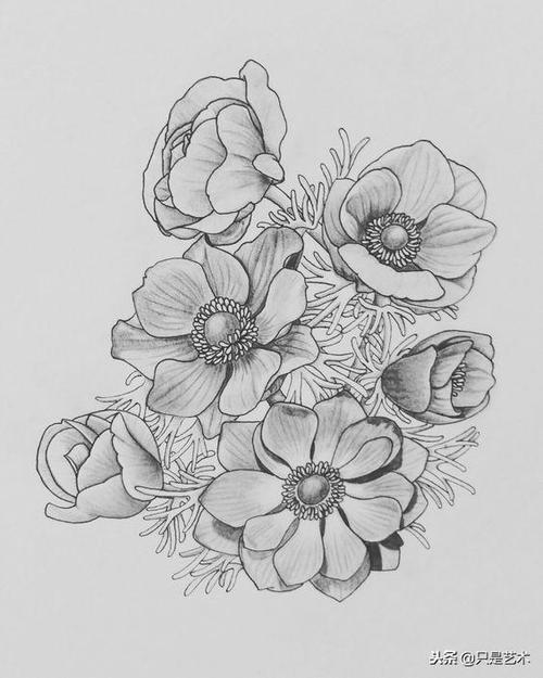 如此精美的线描花卉,你确定不看一看?