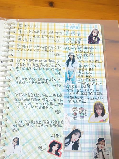 我做的潇潇手帐可能不好看,不喜勿喷,谢谢_程潇_手帐_宝藏女孩程潇