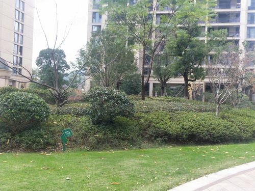 绿城秀丽春江望京园,卢镗街15号-丽水绿城秀丽春江园