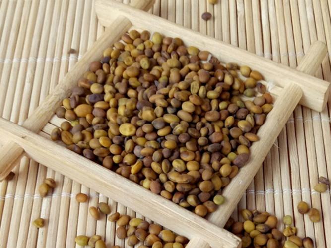 乌桕子 - 药材图谱 - 中华药典-岭南中药网