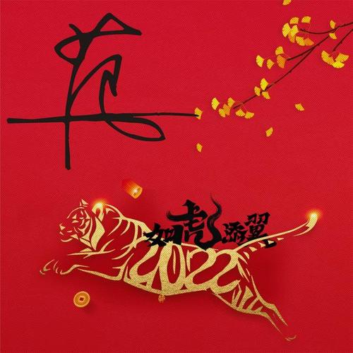 新春虎年微信图片百家姓图片