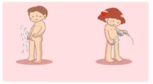 事情是因为一个章节叫 "生殖系统",书上详细的画出了男女生殖器和性