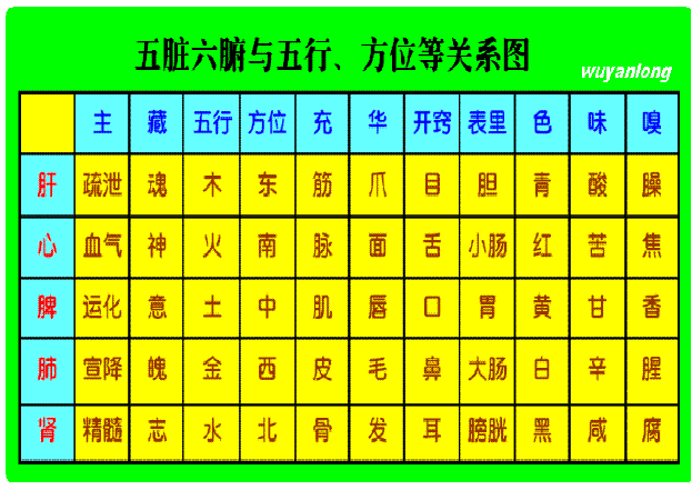 五色,五味,五脏,五官,五行对应表