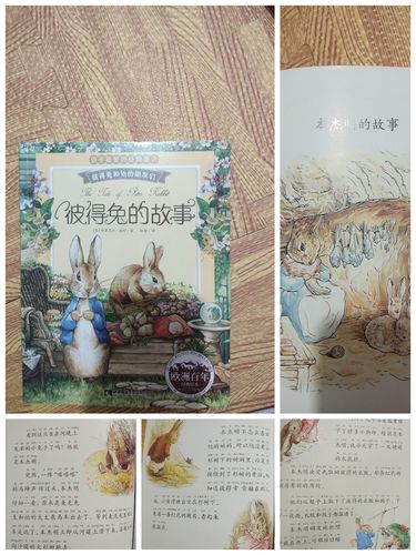 3)由何家旺分享《彼得兔:本杰明》的故事