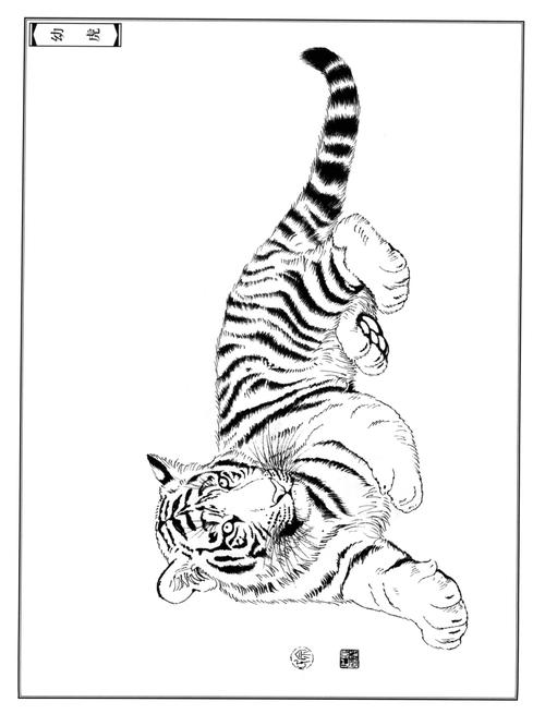 老虎线稿黑白插画工笔画(十三)_插画_线稿_工笔画_绘画_素材_绘画素材