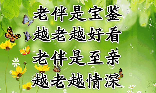 人过60岁,身边最亲的人是谁?看哭了|老伴|相伴一生|夫妻_新浪新闻