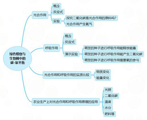 七年级上册生物思维导图_光合作用怎么样_教育_中学