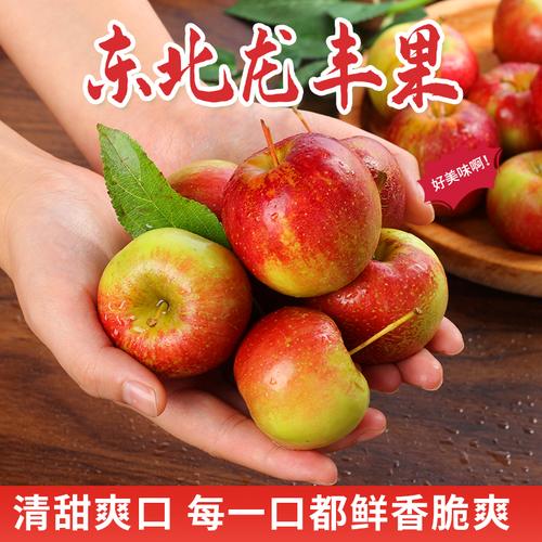 东北北龙丰果孕妇水果海棠果沙果小苹果新鲜现摘苹果