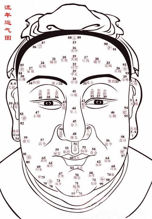   福德宫  在前额左右眉毛的上方,称为天仓,福堂的