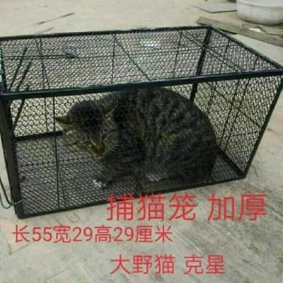 抓猫笼大号全自动捉猫捕猫神器家用诱捕网夹子高压工具