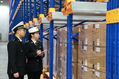 南沙海关关员在南沙保税港区进口药品仓库进行巡仓监管.通讯员供图
