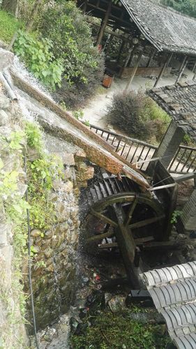 苍南桥敦(碗窑古村)(日月谭)一日游