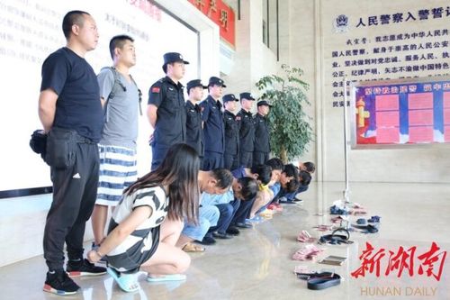 凤凰公安一举捣毁两个丢包诈骗团伙,抓获嫌疑人9名