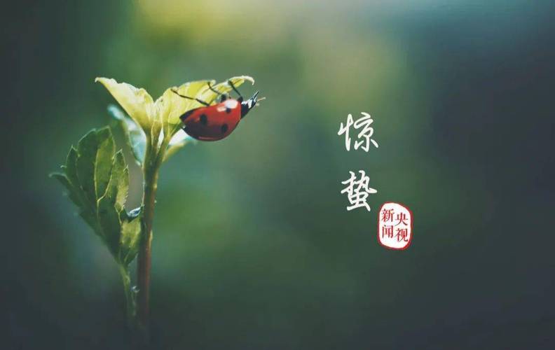 嘉州二十四节气 | 今日惊蛰,春天如期而来