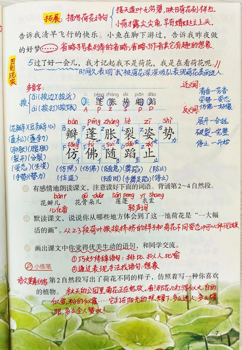 三下第三课《荷花》课堂笔记#人教版语文#三年级下册 三年级